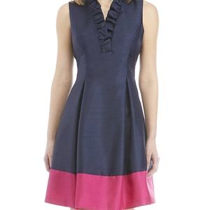 Jessica Howard Ruffle Neck Flare Color Block Dress